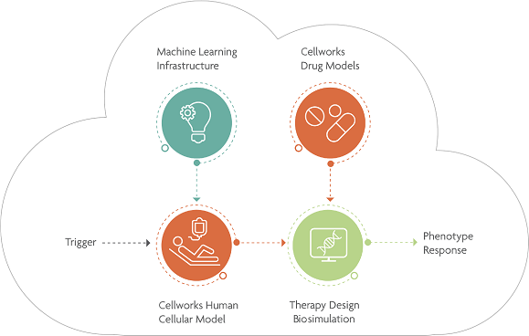 Cellworks Platform - Primary Components